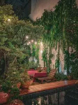 Birdcage Boutique - piscina