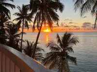 Heron Beach Hotel Dhiffushi - Havudsigt