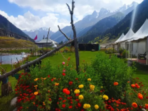 Sheenwoods Riverside Resort & Spa Hotels in Ganderbal