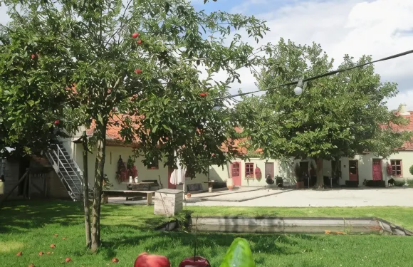 佐特克斯住宿加早餐旅館