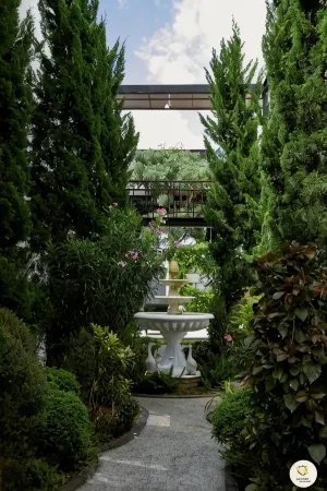 The Gold Living Life