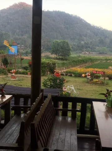 รูปภาพของไร่สตรอว์เบอร์รีวงค์วาน