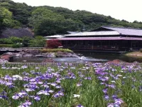 Business Hotel Shiobara Hotels in Hitachiomiya