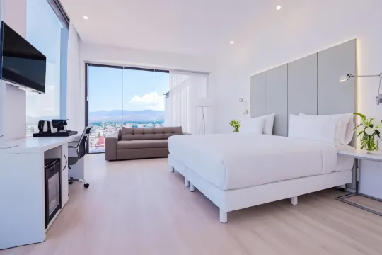 NH飯店-聖路易斯波託西