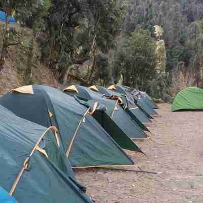 Janardan Campsite Kausani Others
