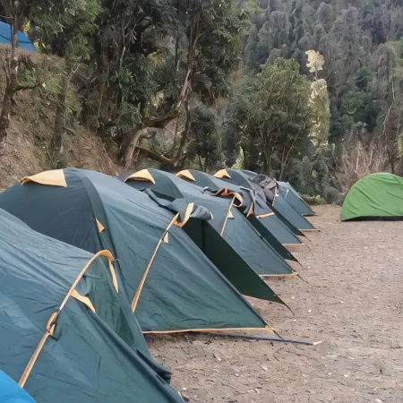 Janardan Campsite Kausani