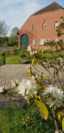 Apartment "Blied" f. Max. 2 pers + toddler, san. Gulfhof, gr. garden