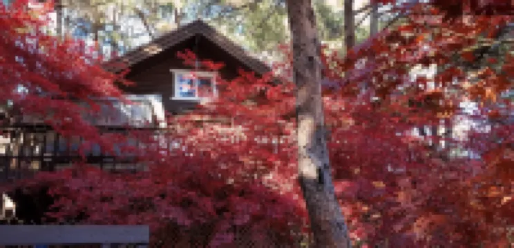 Hoengseong Log Cabin Pension (Duplex Pension)