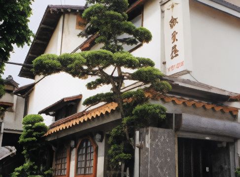 Business Ryokan Matsubaya 외관