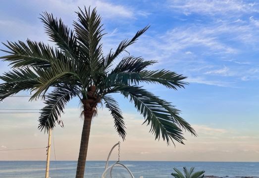 바다를 바라보는 카라반 전경