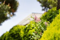 Hwaseong (Jebudo) Sueno Pension - Homestays