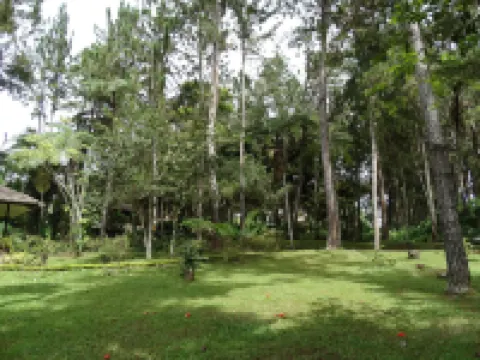 Eden Nature Park and Resort Hotels near New Year's Peak Mountain Resort