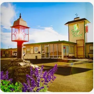 聖人與沙灘汽車旅館