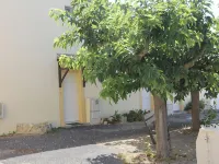 Nice Villa F3 at 25 meters from the sea in Frontignan Plage Hotels in Frontignan