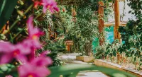 Xamã Senses - Hotel Pousada