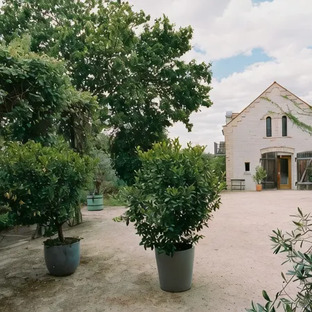 REMISE ground floor: Garden apartment with wood-burning stove, terrace and water access Отели в г. Вердер