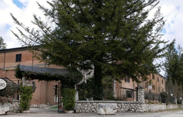 LH Albergo Il Picchio