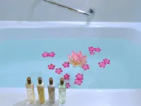 متروبول هوتل Hotels near ميدان سينادو