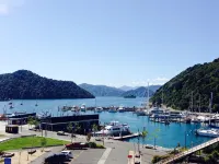 Edit Picton Hotels in 
