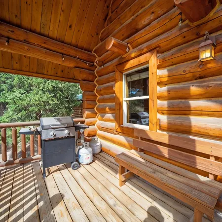 Gemini cabin, deck views of 14kft mtn, 40 min to Breck. Surrounded by wildlife