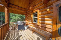 Gemini cabin, deck views of 14kft mtn, 40 min to Breck. Surrounded by wildlife