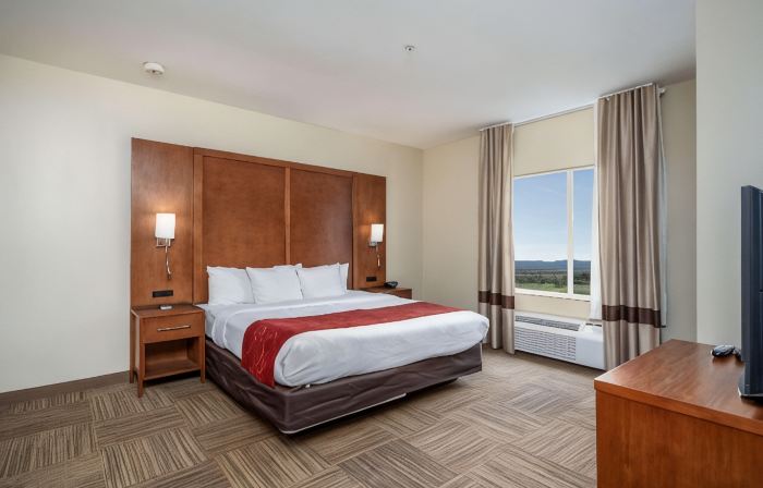 Comfort Suites University