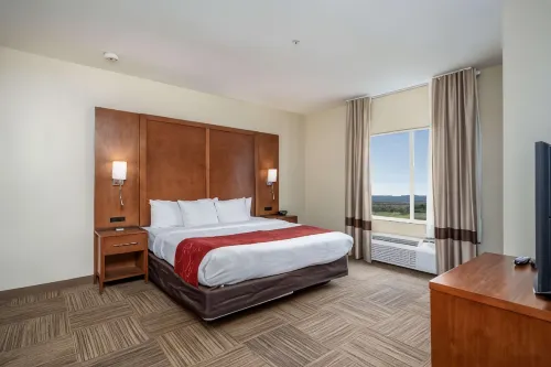 Comfort Suites University
