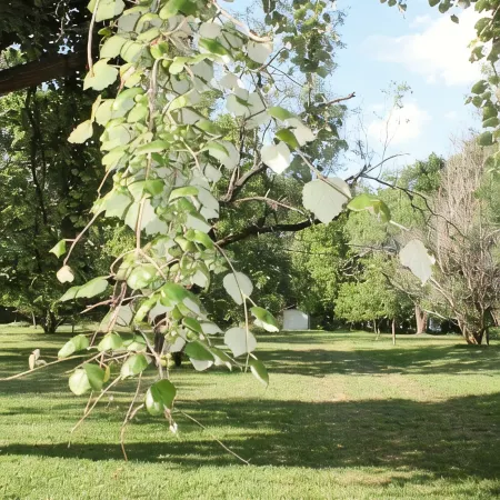 Guadalupe River Road Retreat Honeymoon Cabin
