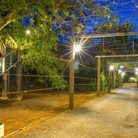 La Pentera