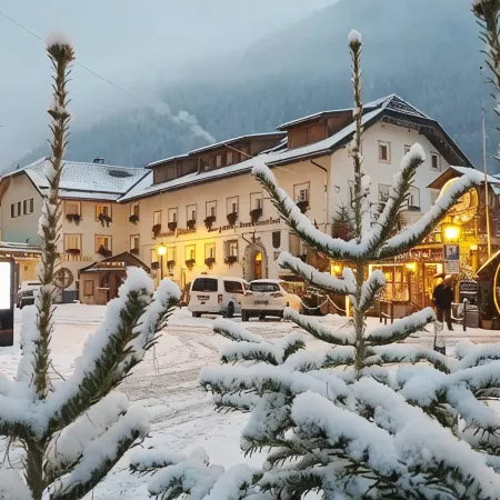 Hotel Garni Snaltnerhof