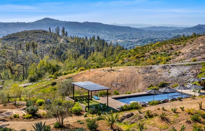 Wine Country Retreat between Sonoma & Napa Valleys