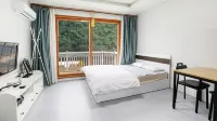 Taean (Anmyeondo) Puppy Stay Heated Swimming Pool Pet Pension - Pools