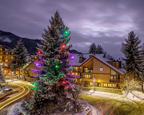 Whistler Village Inn & Suites Hotels near Excelerator Chair