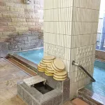 Kodakaranoyu Shiojiri Hotel - Hot Springs
