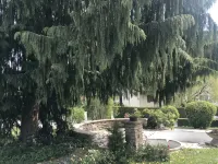 5 minutes from Annecy? Apartment on 2nd floor of a house with large garden - Condos