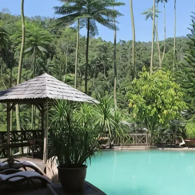 Fig Tree Hill Resort Hotels near Entopia by Penang Butterfly Farm