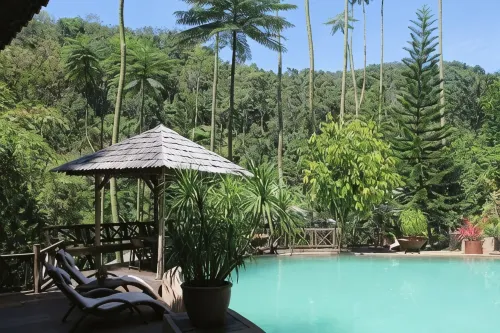 Fig Tree Hill Resort - Airport Shuttle