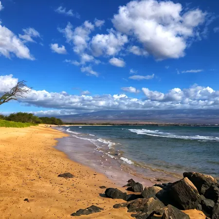 Relaxing Ocean Front Views on Maui! Island Sands Condominium
