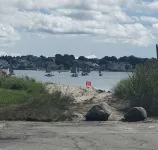 Quaint 1 Bed 1 Bath Private Beach Home. Long Term Renter Welcome Dec 1 - Beach