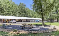 9 on the Ridge - 3 miles from Dollywood & Pet Friendly - Many repeat customers! - Condos