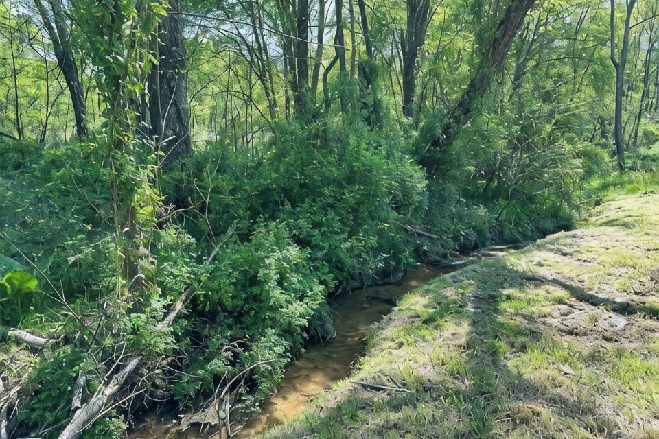 Photo 5 of 6