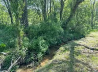 Creekside Cabin in Hocking Hills. Hot Tub + Large Private Yard. Dog-friendly! - 4 estrellas
