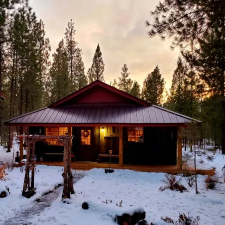 Pinecone Cabin, Couples Retreat, Hot Tub, Pet Friendly, Private!
