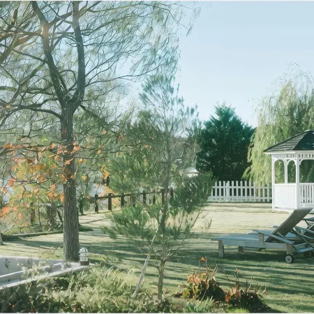 Hotel Soka