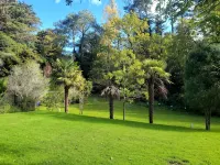 Dickson Holiday Park - Pools