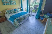 Remodeled Fantastic Ocean Front Sunset Views New AC  2 Lanais Free Parking Wifi - Træningscentre