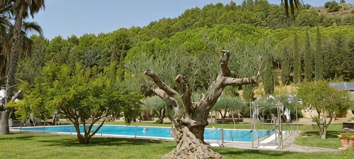Agriturismo Il Drago Hoteles en Enna