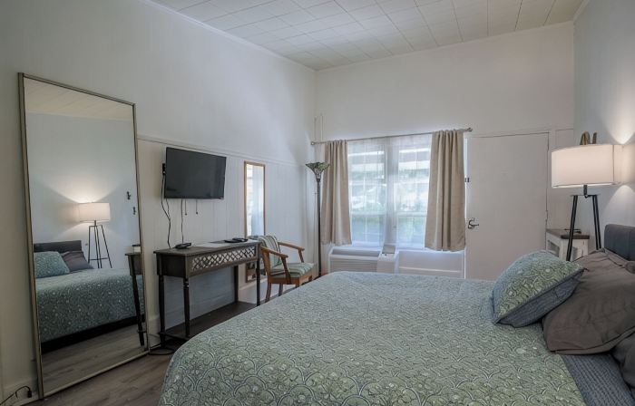 Cozy 1-bedroom condo in charming Flat Rock.