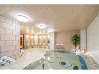 Fukuzumi Ryokan - Hot Springs