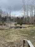 Cozy Creekside Cabin - Chalets